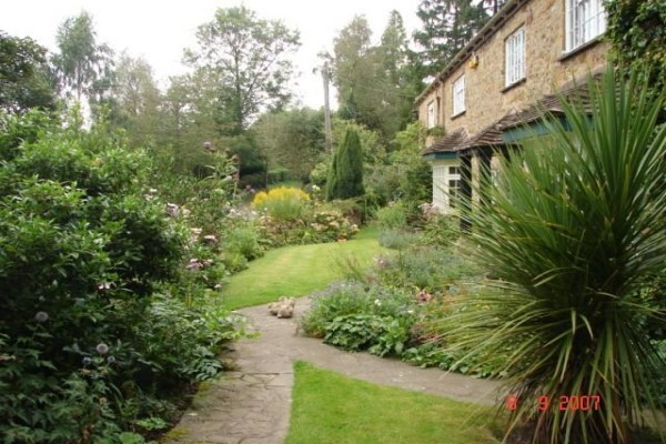 Designer Gardens Landscaping