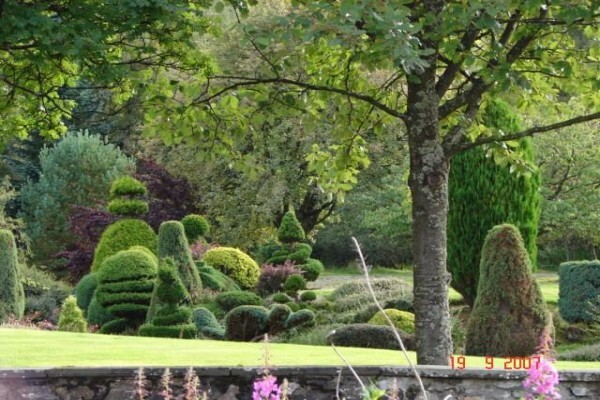 Designer Gardens Landscaping