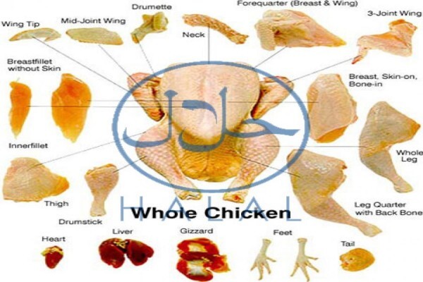 Durban Halaal Meats
