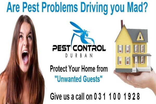 Pest Control Durban