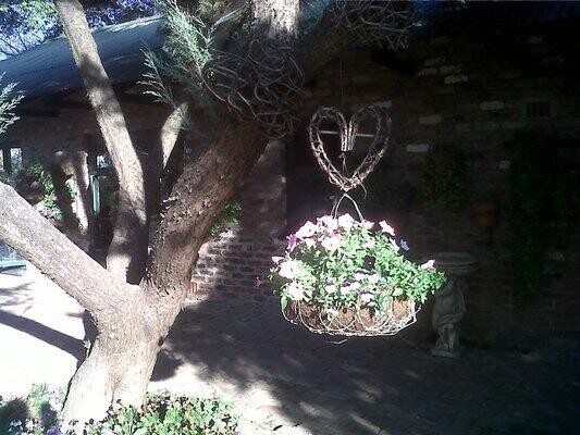 New Dawn Garden Services