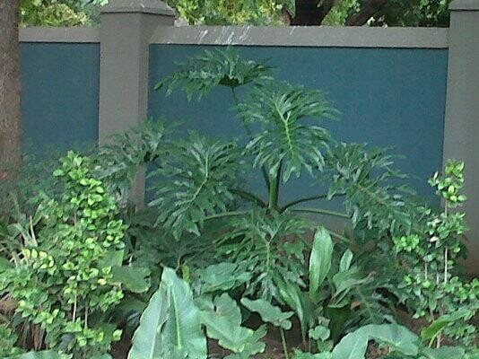 New Dawn Garden Services