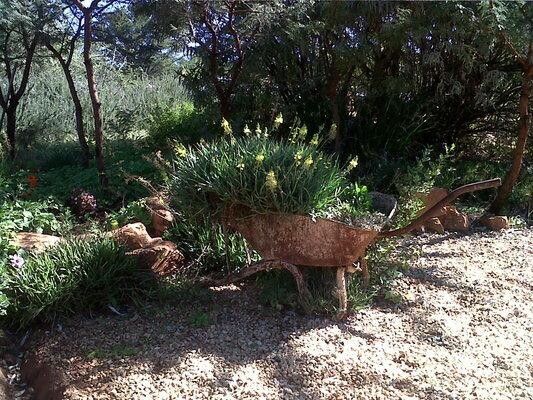 New Dawn Garden Services