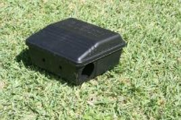Pest Control Cape Town