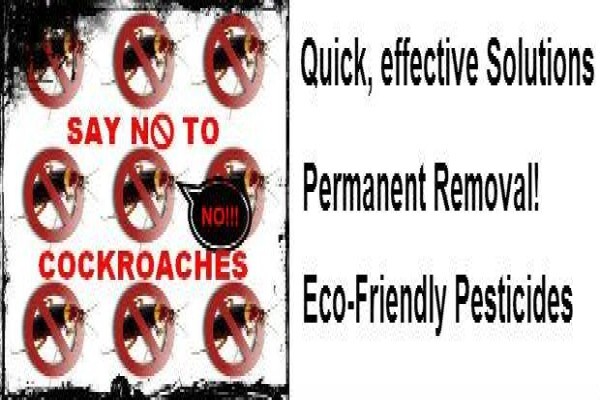 Pest Control Cape Town