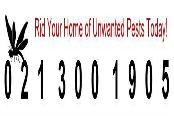 Pest Control Cape Town