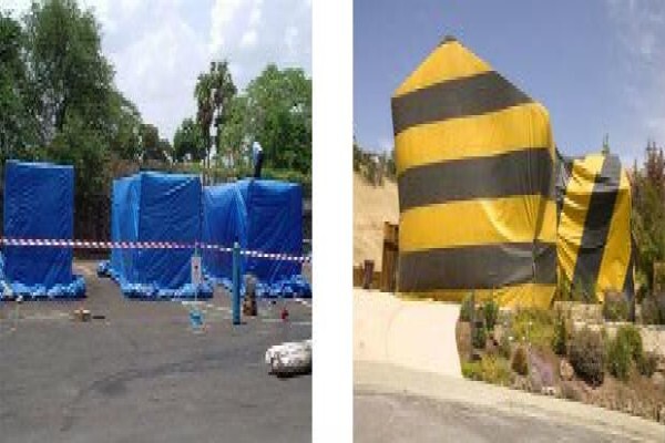 Pest Control Cape Town