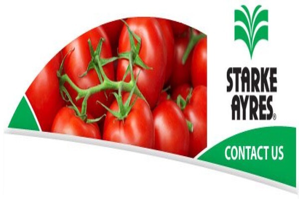 Alyson Vickers Advertising and Branding Co-ordinator Starke Ayres (Pty) Ltd South Africa
