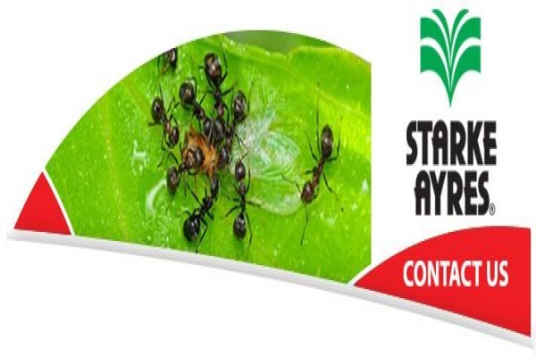 Alyson Vickers Advertising and Branding Co-ordinator Starke Ayres (Pty) Ltd South Africa