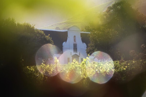 GROOT CONSTANTIA ESTATE