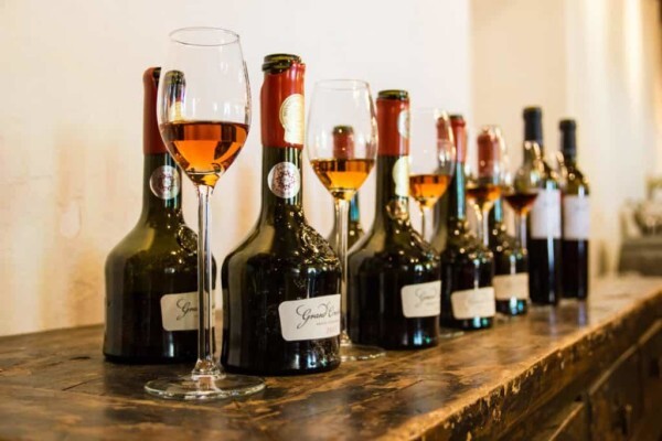 GROOT CONSTANTIA ESTATE