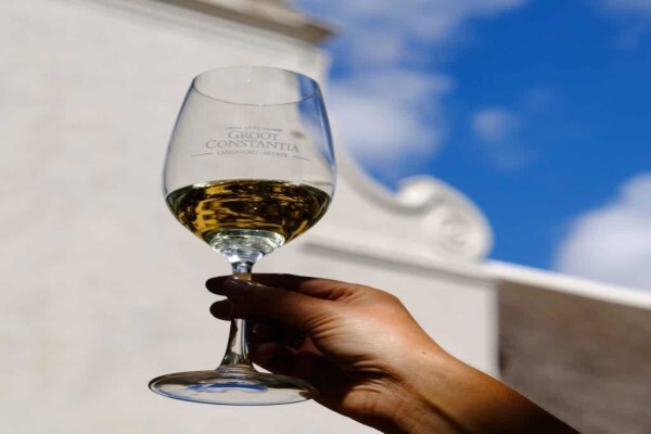 GROOT CONSTANTIA ESTATE
