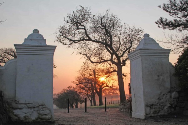 GROOT CONSTANTIA ESTATE