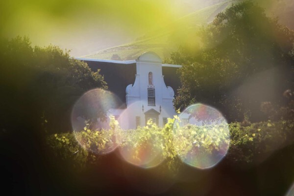 GROOT CONSTANTIA ESTATE