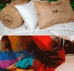 Sheraton Textile Holdings