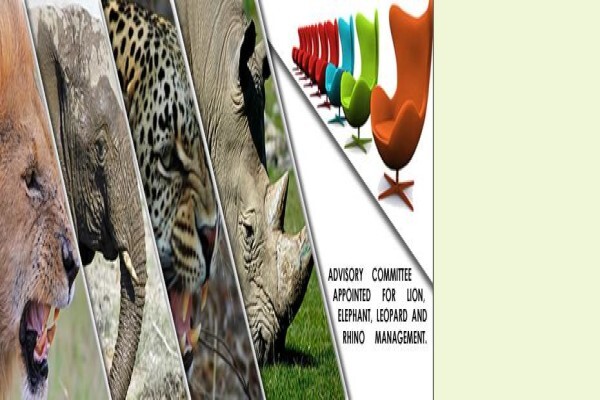 Economic Development Tourism & Environmental Affairs (Phuthaditjhaba)