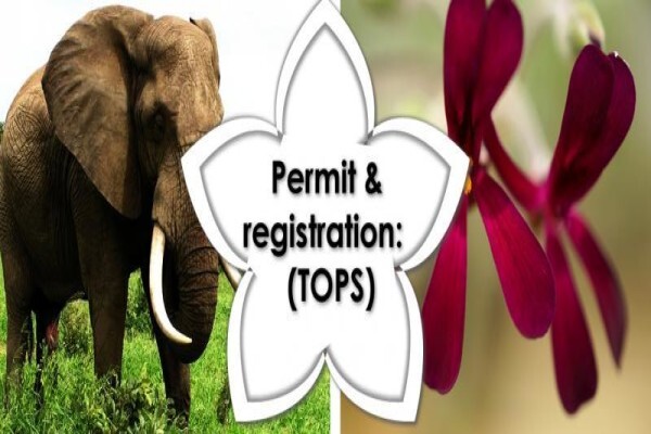 Economic Development Tourism & Environmental Affairs (Phuthaditjhaba)