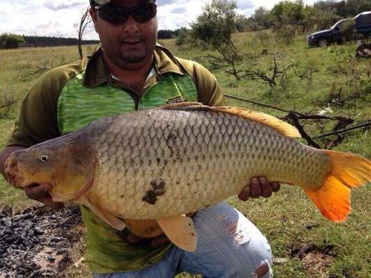 Blas Auto Styling & Fishing Tackle