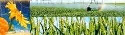 Avenatus Retail (Vaalwater)