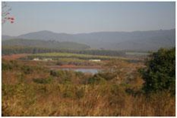 Century 21 Tzaneen Properties