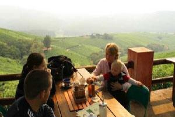 Century 21 Tzaneen Properties