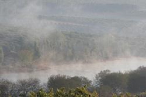 Century 21 Tzaneen Properties