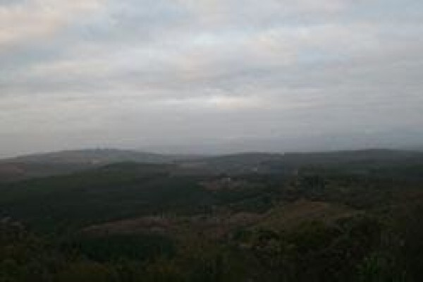 Century 21 Tzaneen Properties