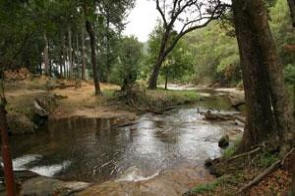 Century 21 Tzaneen Properties