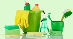 Far North Cleaning & Pest Control