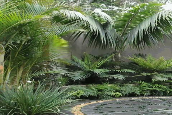 Up & Coming Gardens