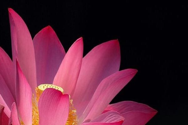 BAHA'I FAITH