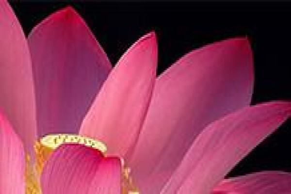 BAHA'I FAITH