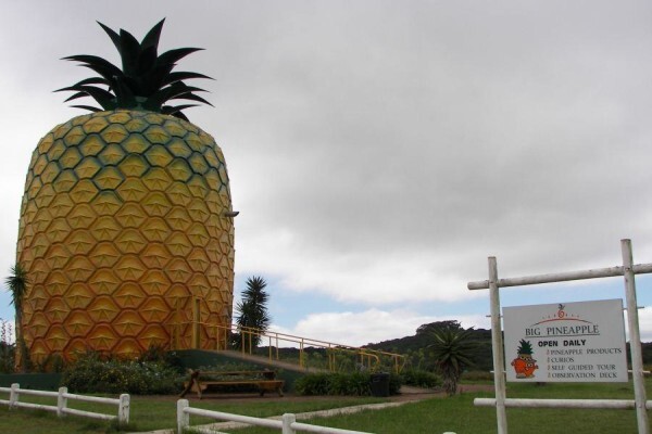Mpekweni Beach Resort