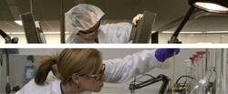 Astrazeneca Pharmaceuticals