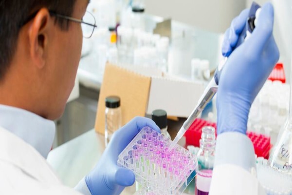 Pfizer Laboratories (Pty) Ltd