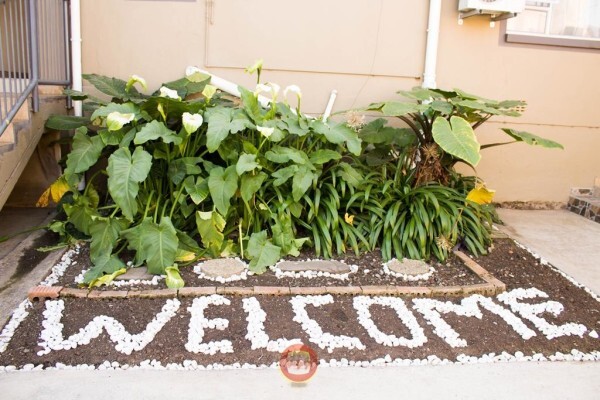 Lilitha Guest House & Conferencing