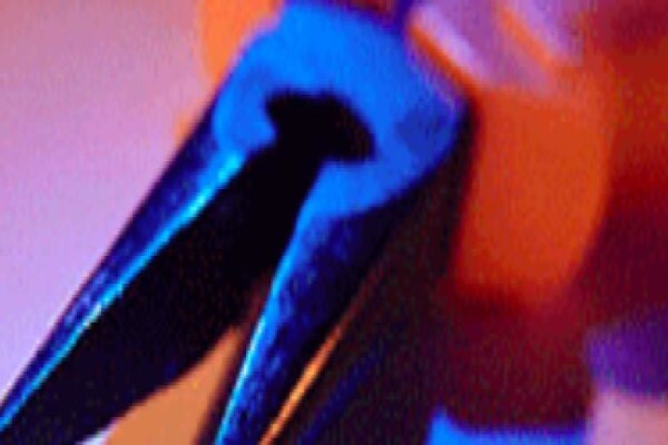 Magma Security