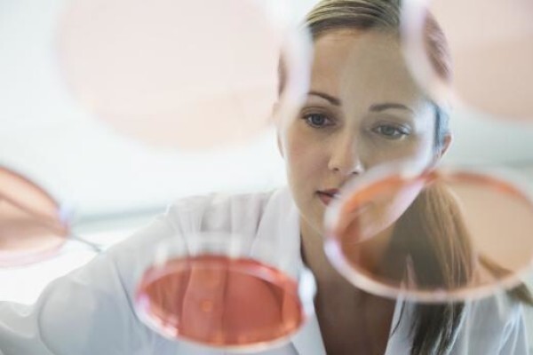 Galderma Laboratories (SA) (Pty) Ltd