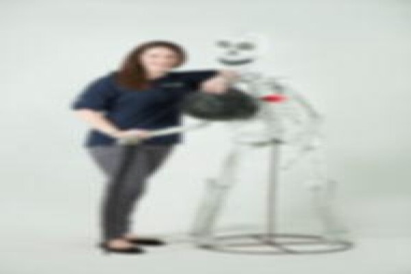 Bell & Rogers Physiotherapists