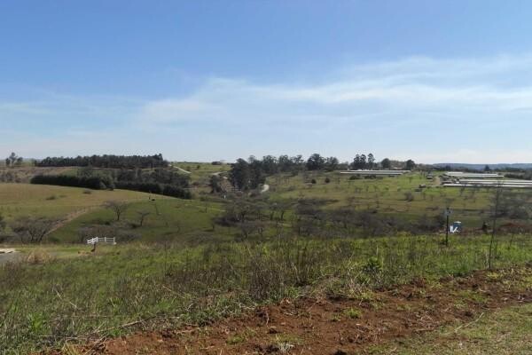 Harcourts Hilton