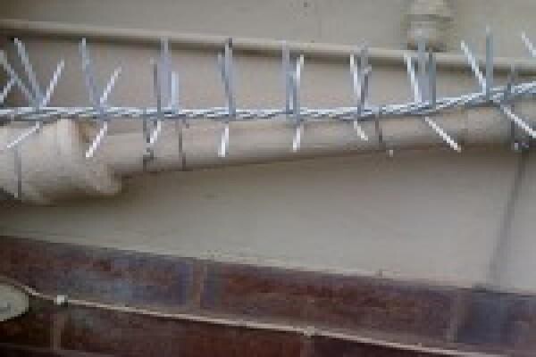 Alliance Security Fencing