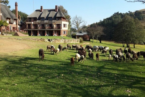 The Bend Country House & Nature Estate