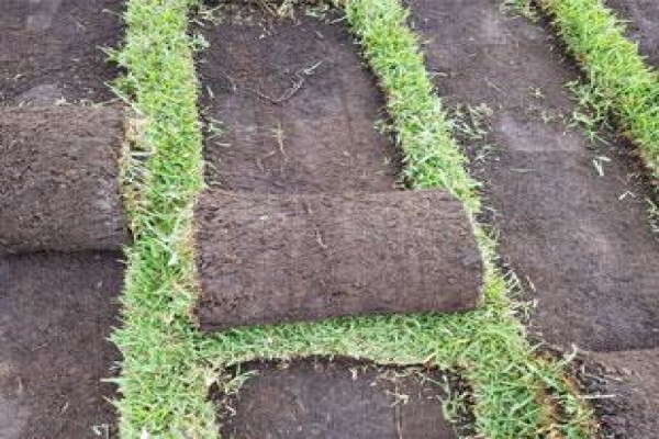 Inglewood Grass Depot