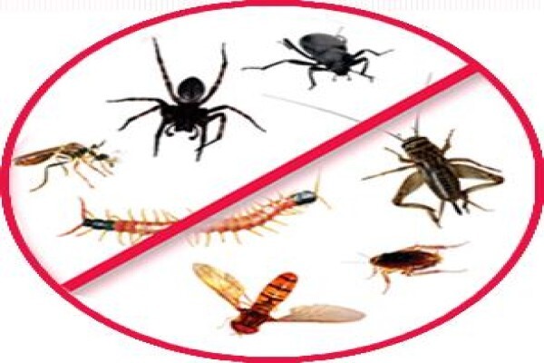 Eco Pest CC