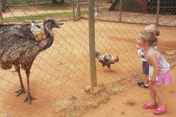TrÃ©s Jolie Restaurant & Venue