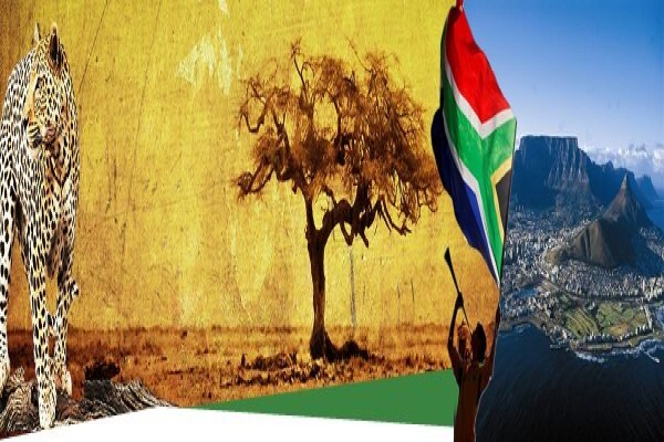 P M Immigration (Pty) Ltd
