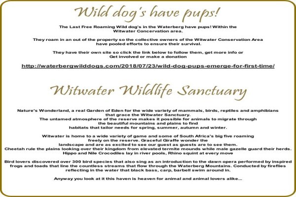 Witwater Guest House & Spa