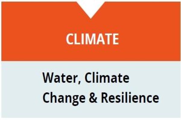 International Water Management Institute