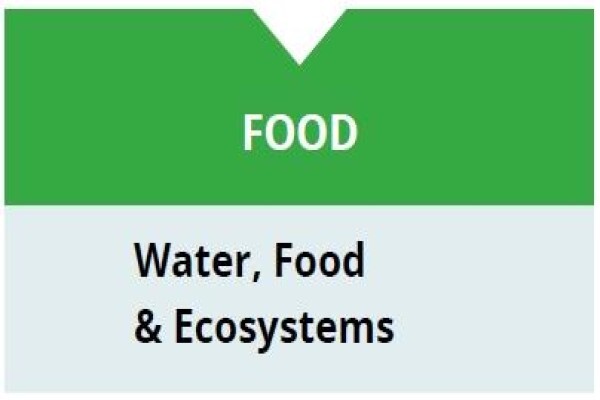International Water Management Institute