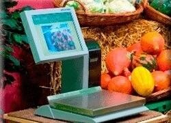 Spectroline Trading